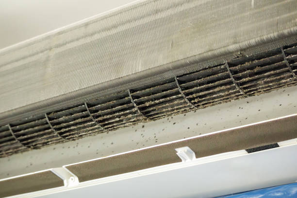Best Affordable Duct Cleaning Services  in South Gate, CA
